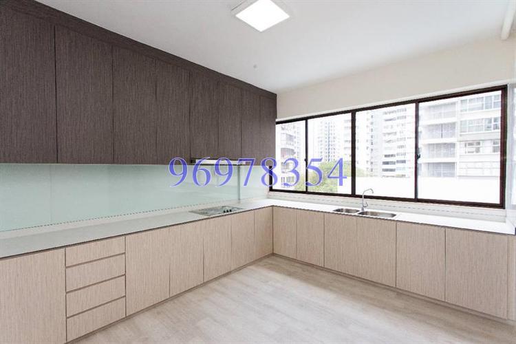 Nadia Mansions (D12), Apartment #166865772